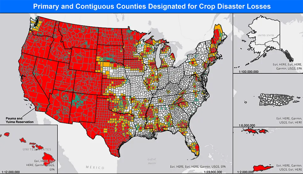 Primary and contiguous counties designated for crop disaster losses