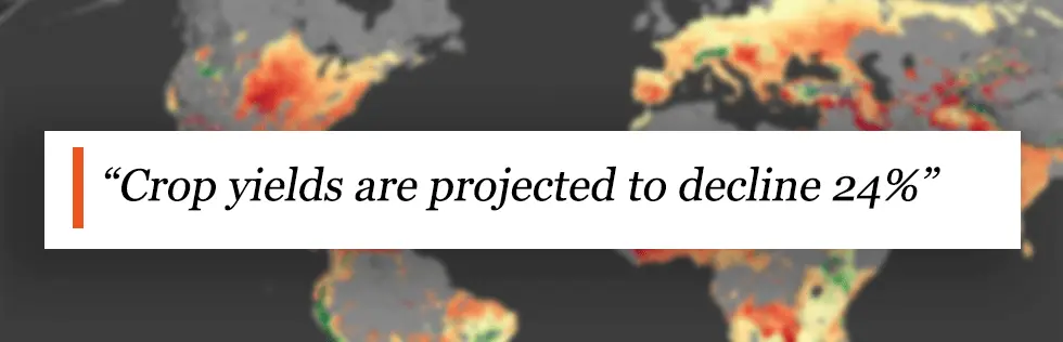 Crop yields are projected to decline 24%