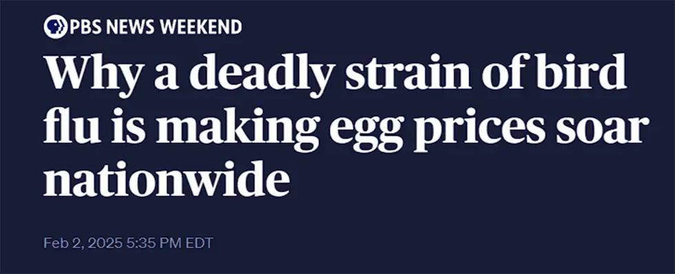 Why a deadly stain of bird flu is making egg prices soar nationwide