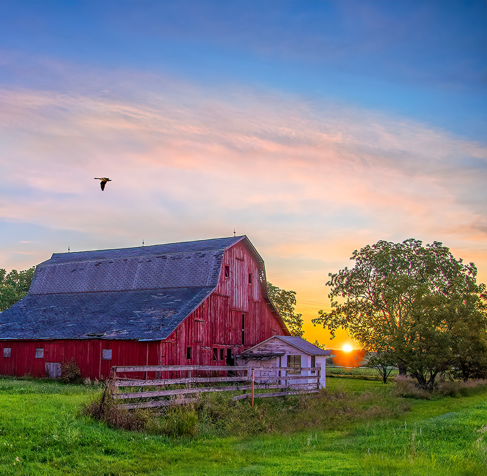 Small Farm