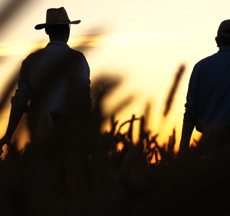 farmers